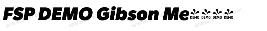 FSP DEMO Gibson Me字体转换 FSP DEMO Gibson Me字体转换